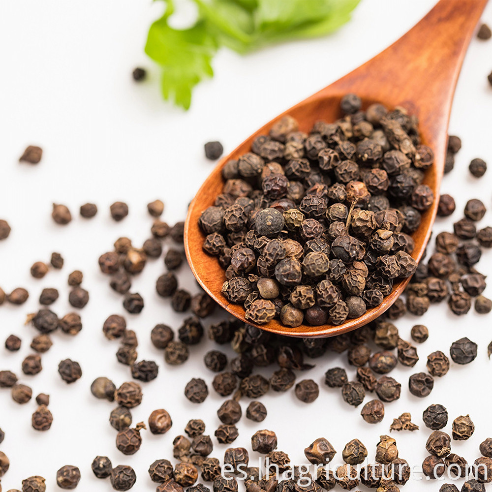 Black Pepper Spices